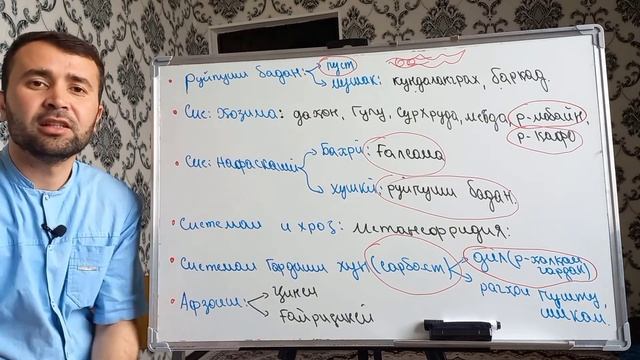 Типи Ҳалқакирмҳо.| Тасниф, сохт, ва афзоиш. смотреть онлайн