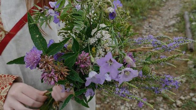 Луговые цветы поймы северной реки Поветлужья смотреть онлайн