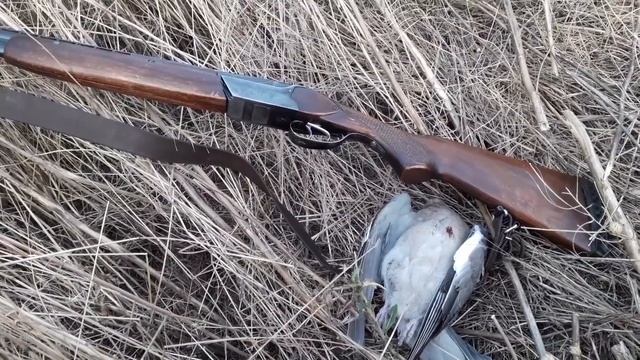 Прогулялся с 28 калибром по Вяхирю!!! Попадать из него после 12 кал очень тяжко....??? смотреть онлайн