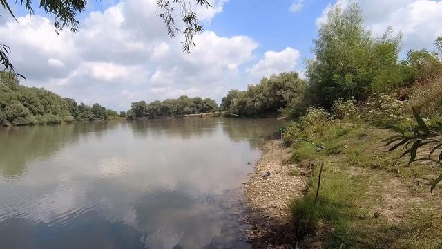 Рыбалка р.Протока-Кубань в августе!Что за РЫБА? смотреть онлайн