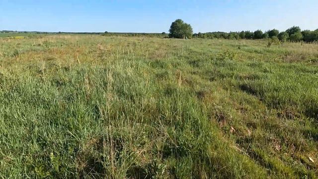 Р-он Чухны-Веребушки. Немецкие бетонные блиндажи 23 и 24 (руины). 28 мая 2023 года смотреть онлайн