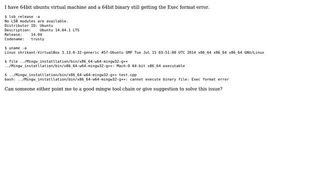 x86_64-w64-mingw32-g++: cannot execute binary file: Exec format error смотреть онлайн