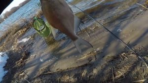 Где Ловить Рыбу Ранней Весной?