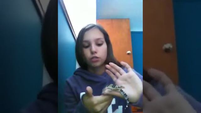 How to handle a leopard gecko смотреть онлайн
