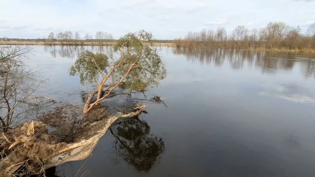 Рыбка начинает поклёвывать, мотопоход на любимую реку. смотреть онлайн