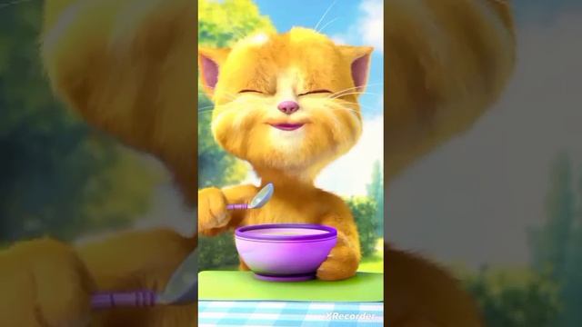 Talking Ginger 3 Gameplay | Ginger 2 | Talking Ginger 2 Happy Bharthday