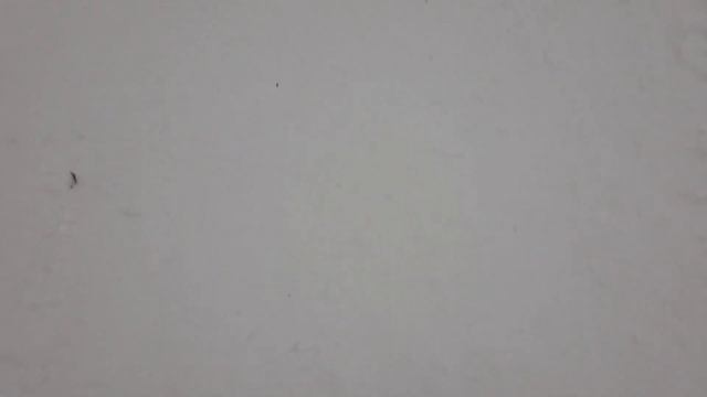 Красновишерск Пермский край . 1февраля 2023. смотреть онлайн