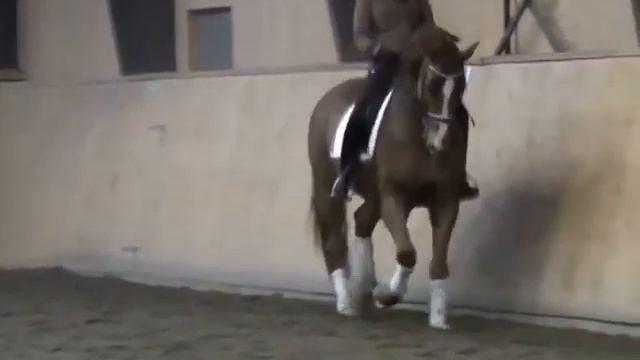 Rossini Johanna Due Boje смотреть онлайн