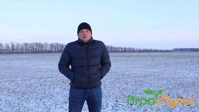 Характеристика КАС-32. Весняне підживлення озимих. Технологія та норми. Плюси та мінуси добрива. смотреть онлайн