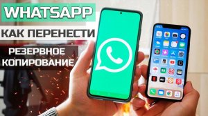 Как перенести Whatsapp c Android на iPhone и обратно, как восстановить данные #MobileTrans