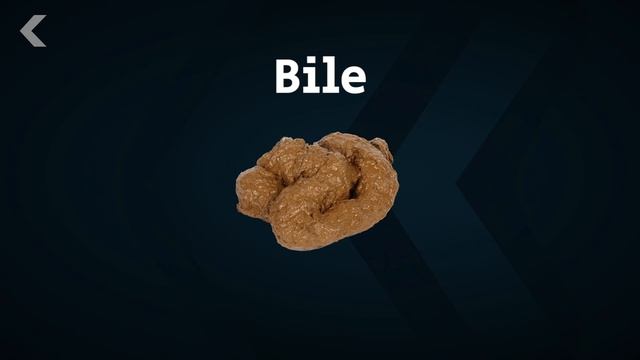 Poop Can Teach You A Lot, But You Have To Look At It смотреть онлайн