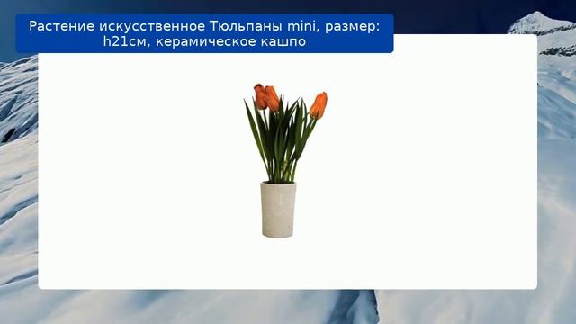 Растение искусственное Тюльпаны mini, размер: h21см, керамическое кашпо смотреть онлайн