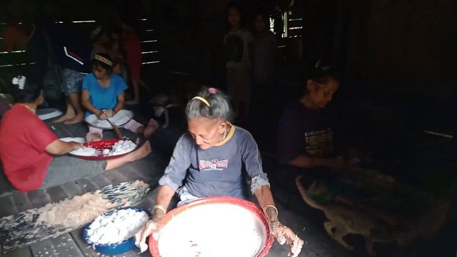Menyususuri Jejak Prof. Reimar Schefold~Aku dan Orang Sakuddei (Suku Mentawai) смотреть онлайн