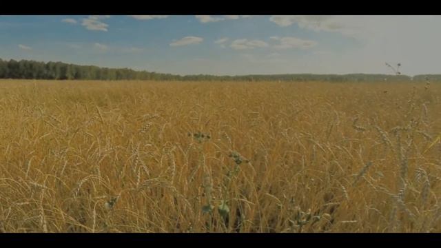 Книга НОД | Хроника Каина | Первые Времена смотреть онлайн