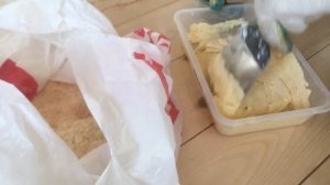 Как заделать щели в деревянном полу