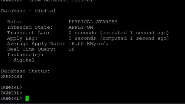 How to switchover and switch back using DG broker #dataguard смотреть онлайн