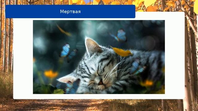 Мертвая смотреть онлайн