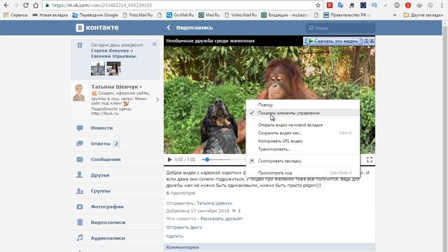 Как быстро скачать видео ВКонтакте без программ смотреть онлайн