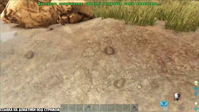 Стрим: ARK Выжженные земли! смотреть онлайн