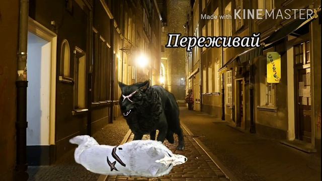 Wcmv "Между строк" / вайлд крафт/ WildCraft/Белый Волк/ смотреть онлайн