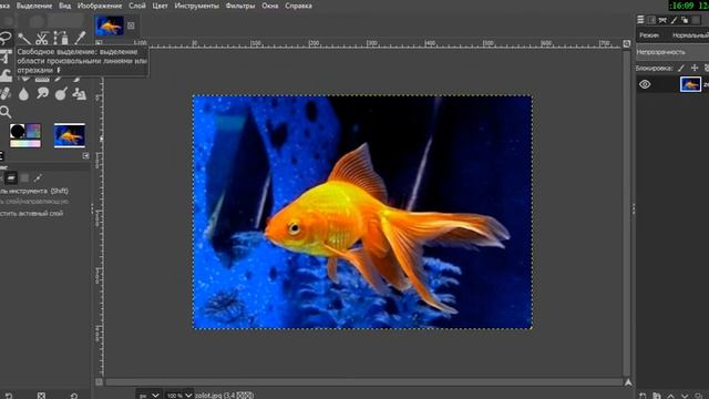 Gimp Работа с выделением лассо и анимация волн смотреть онлайн