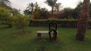Что изменилось в отеле Fort Arabesque West Bay? Египет. Хургада. Макади бэй. Ноябрь 2022