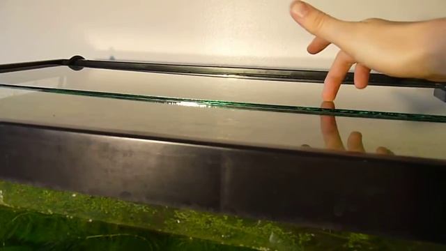 DIY aquarium glass lid смотреть онлайн