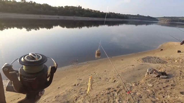 Запорожье Старый Днепр Рыба Есть!!!! смотреть онлайн