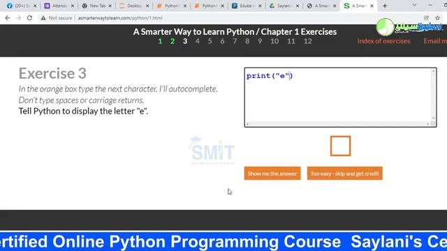 Online Python Programming Class 5 in Urdu смотреть онлайн