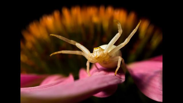 4Seasons2012mk2 смотреть онлайн