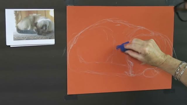 Tips for Painting Animals in Pastel. Let's Paint a Cat! смотреть онлайн