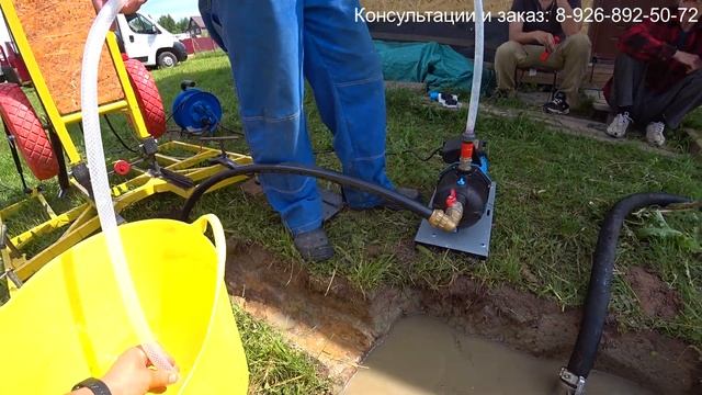 Абиссинка в Шаховской! смотреть онлайн