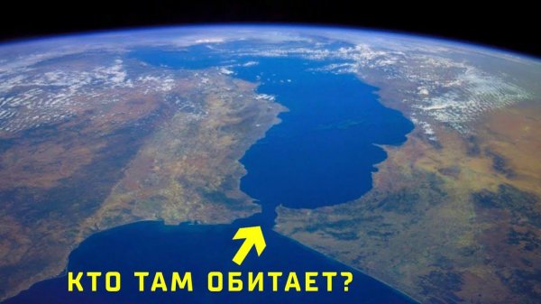 Первые реальные снимки! Аномалии Вселенной: Погружение в глубокий космос (Сборник)