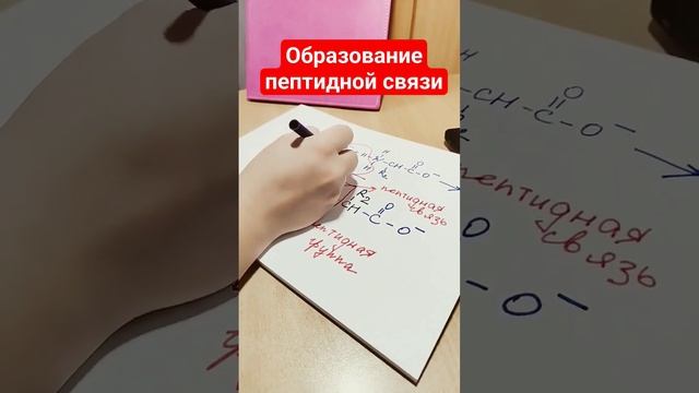 Образование пептидной связи? #бх #биохимия #репетитор #медицина #youtube смотреть онлайн