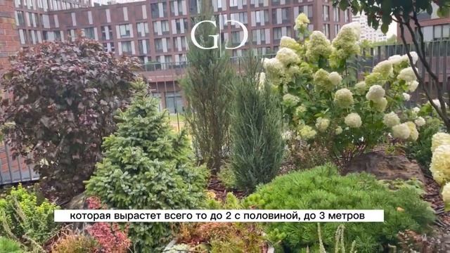 Как сделать сад на крыше? Вариант сада на балконе-террасе. смотреть онлайн