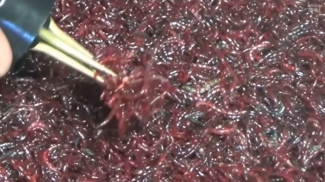 Рыболовные Товары с Алиэкспресс. Клевые Товары Для Рыбалки из Китая. Все Для Рыбака [1] смотреть онлайн