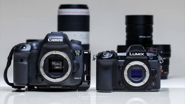 Матрица камеры Full-frame vs Crop| Основы видеосъемки смотреть онлайн