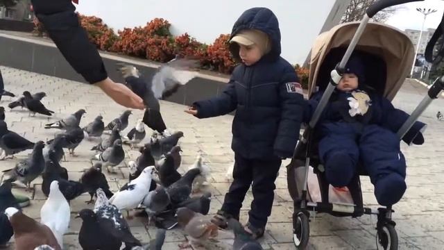 Даниил. Кормит голубей с руки смотреть онлайн