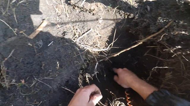 Equinox 700 Coiltek 15 Колокольчик