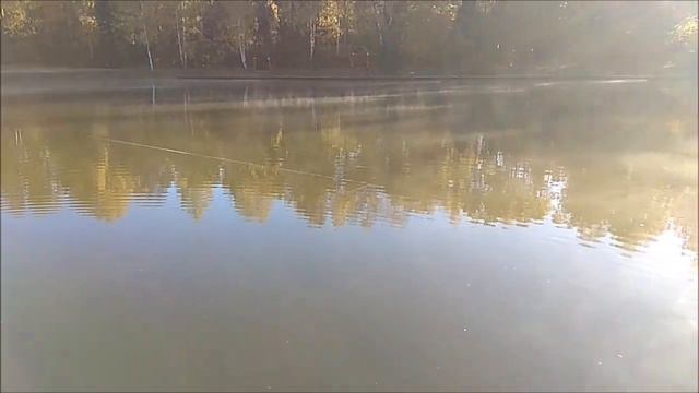 Время пасты пришло. Клёвое место, Лосиный остров, нижний водоём. смотреть онлайн