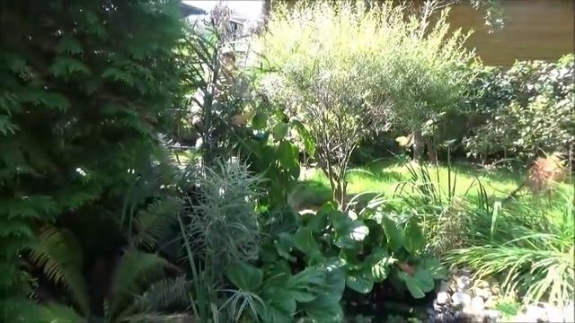 Дача. Формируем дерен. Пересадки. Дела осенние. Стихи Аллочки Новоселовой. смотреть онлайн