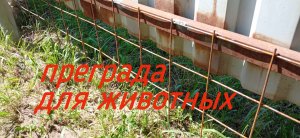 Сетка под забор