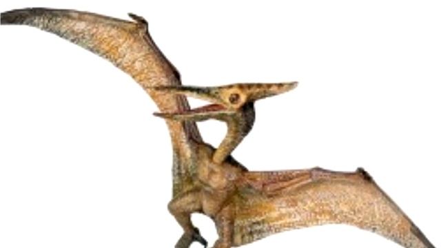 ЗВУК ПТЕРОДАКТИЛЬ , ДЛЯ МОНТАЖА