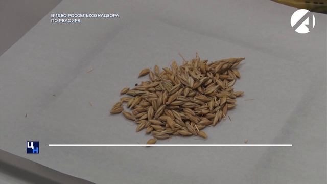 С начала года Россельхознадзор досмотрел около 400 транспортных средств смотреть онлайн