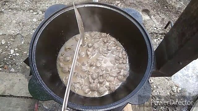 ЖЕЛУДКИ И СЕРДЕЧКИ , ТУШЕНЫЕ В СМЕТАНЕ в казане на костре смотреть онлайн
