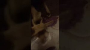 Обзор на фигурку Кожаное лицо из Техаской резни бензопилой.