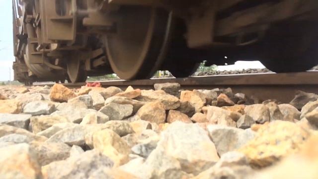 Train Vs Chicken EXPERIMENT смотреть онлайн