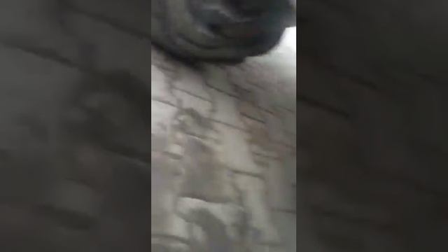 TEREX 860 Video -3 смотреть онлайн