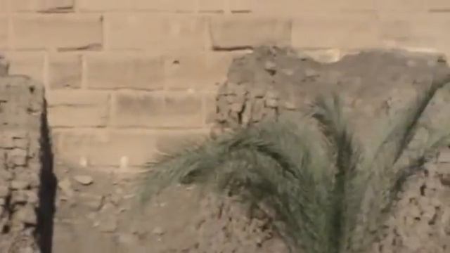Наслаждение историей Египта смотреть онлайн