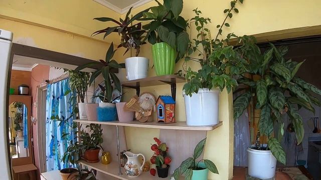БЮДЖЕТНАЯ ВТОРИЧКА ГЕЛЕНДЖИКА ОДНОКОМНАТНАЯ КВАРТИРА С БОЛЬШОЙ ЛОДЖИЕЙ В ЮЖНОМ РАЙОНЕ ГОРОДА смотреть онлайн
